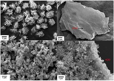 High Efficient Visible-Light Photocatalytic Performance of Cu/ZnO/rGO Nanocomposite for Decomposing of Aqueous Ammonia and Treatment of Domestic Wastewater